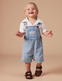 Burton Classic Stripe Denim Overalls - Denim